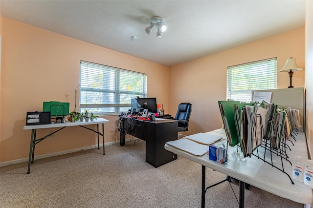 5311 36th Ave E, Palmetto, FL 34221 - carpeted office space featuring plenty of natural light