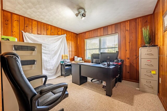 5311 36th Ave E, Palmetto, FL 34221 - carpeted home office with wood walls