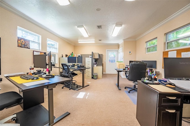 5311 36th Ave E, Palmetto, FL 34221 - office area with crown molding, light colored carpet, and a textured ceiling