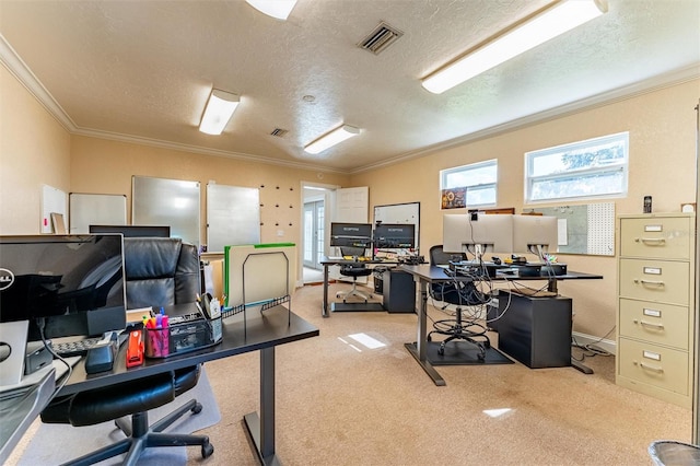 5311 36th Ave E, Palmetto, FL 34221 - home office featuring carpet, a textured ceiling, and crown molding