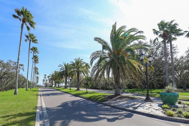 3636 Torrey Pines Blvd, Sarasota, FL 34238 - view of asphalt street with curbs and street lights