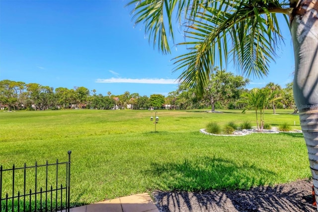 3636 Torrey Pines Blvd, Sarasota, FL 34238 - view of yard