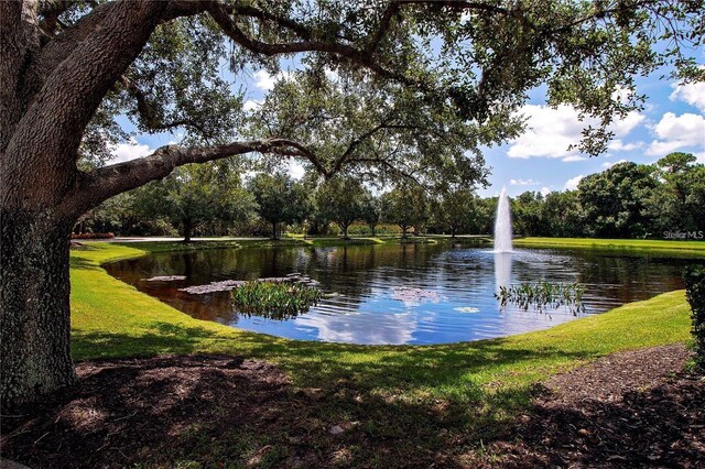 773 Rosemary Cir, Bradenton, FL 34212 - water view