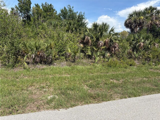 6986 Princeton St, Port Charlotte, FL 33981 - photo 4