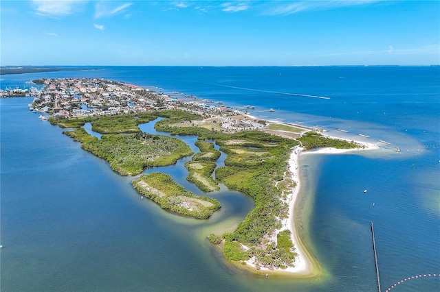 6219 Golden Nettle Dr, Apollo Beach, FL 33572 - bird's eye view of a large body of water