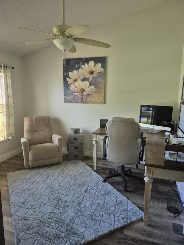 15917 Mercott Ct, Clermont, FL 34714 - office with a ceiling fan, wood finished floors, and a textured ceiling