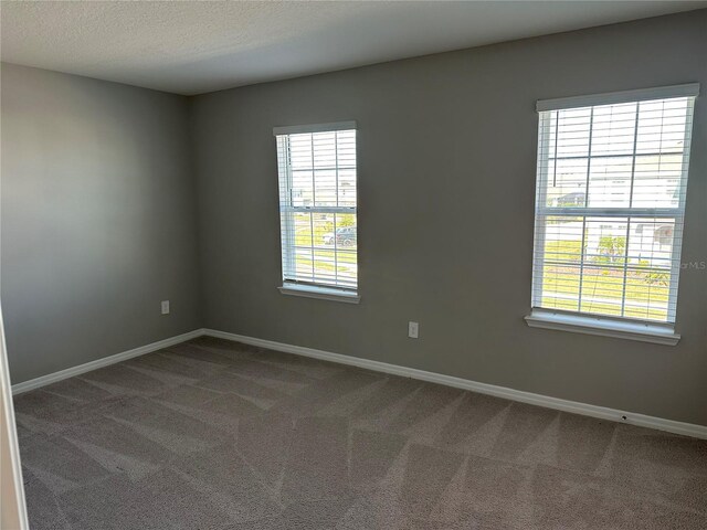 17637 Cantarina Cv, Bradenton, FL 34211 - photo 30