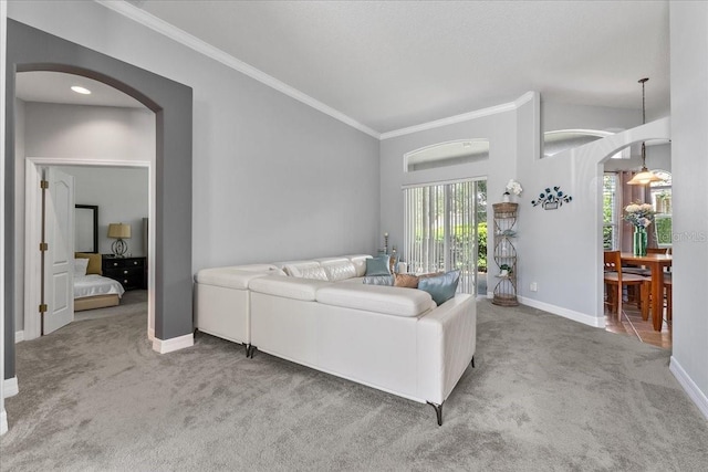 4013 Greystone Dr, Clermont, FL 34711 - carpeted living room featuring arched walkways and ornamental molding