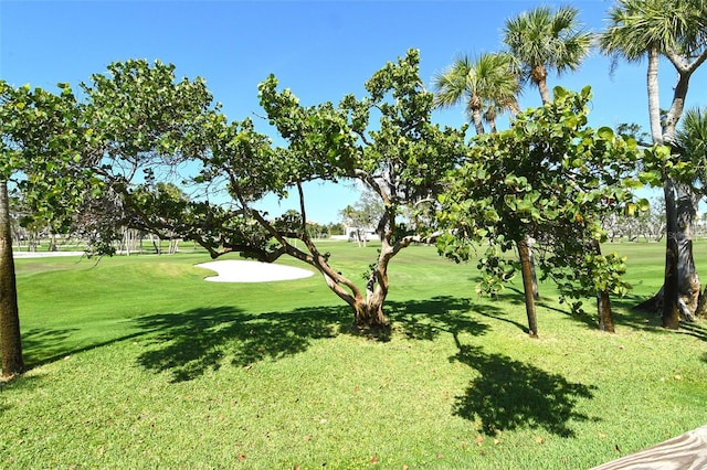 2103 Harbourside Dr Unit 1102, Longboat Key, FL 34228 - view of community with view of golf course and a yard
