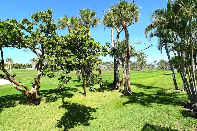 2103 Harbourside Dr Unit 1102, Longboat Key, FL 34228 - surrounding community featuring view of golf course and a yard