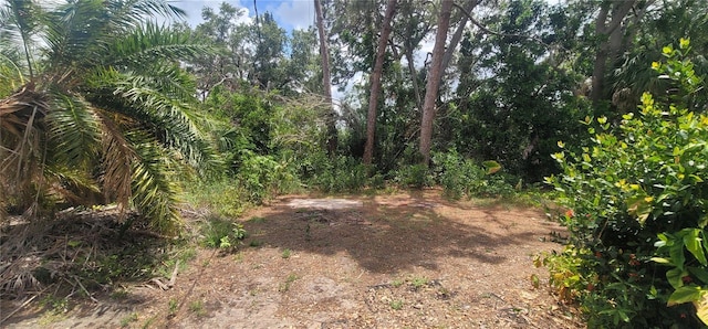 120 SW Monroe Cir N, Saint Petersburg, FL 33703 - photo 2