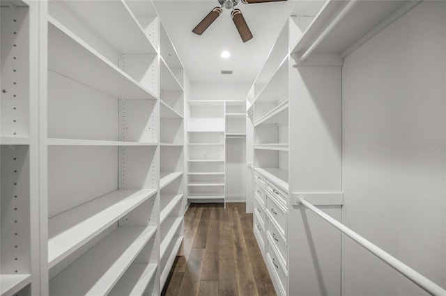 5569 Cape Leyte Dr, Sarasota, FL 34242 - walk in closet with dark wood-style flooring and a ceiling fan