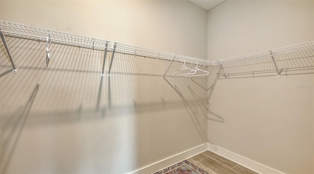 491 Daylily Blvd, Nokomis, FL 34275 - walk in closet featuring wood finished floors