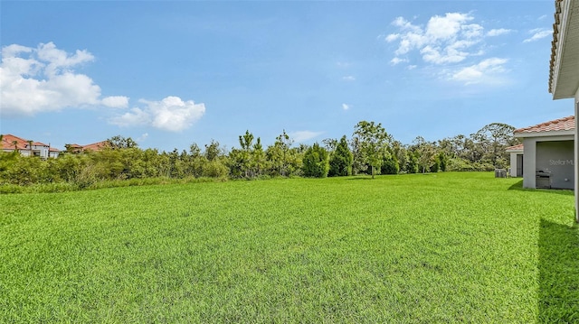 491 Daylily Blvd, Nokomis, FL 34275 - view of green lawn