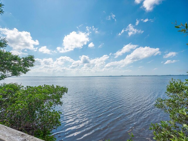 5630 Inspiration Ter, Bradenton, FL 34210 - photo 90