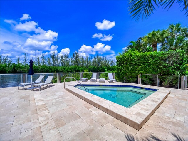 123 Tidy Island Blvd, Bradenton, FL 34210 - view of pool with a patio and a pool