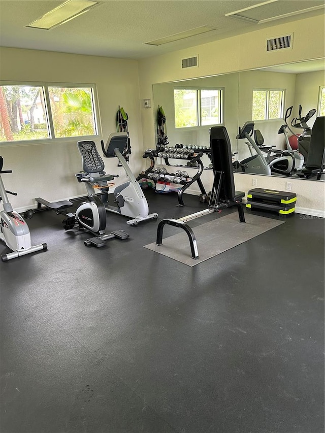 900 La Costa Cir Unit 4, Sarasota, FL 34237 - view of workout area