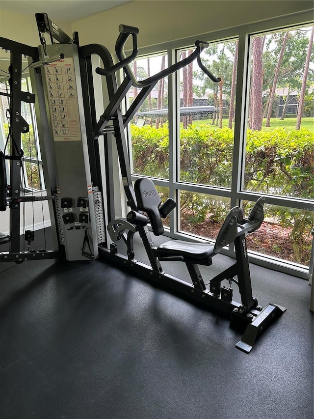900 La Costa Cir Unit 4, Sarasota, FL 34237 - exercise room featuring healthy amount of natural light