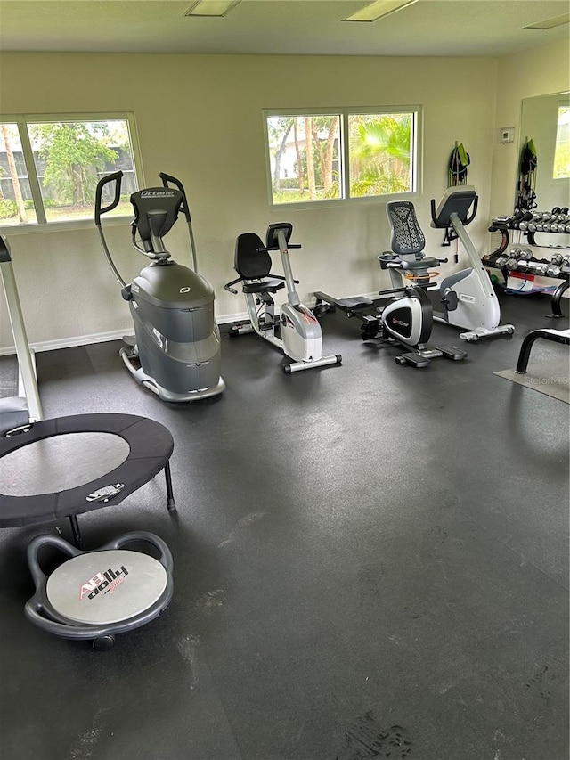 900 La Costa Cir Unit 4, Sarasota, FL 34237 - gym with healthy amount of natural light