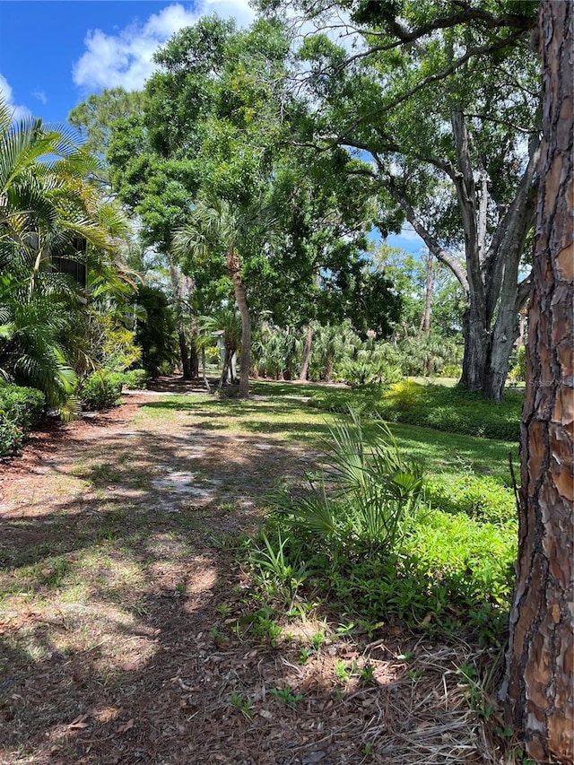 900 La Costa Cir Unit 4, Sarasota, FL 34237 - view of yard