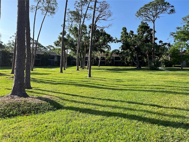 900 La Costa Cir Unit 4, Sarasota, FL 34237 - view of community featuring a yard