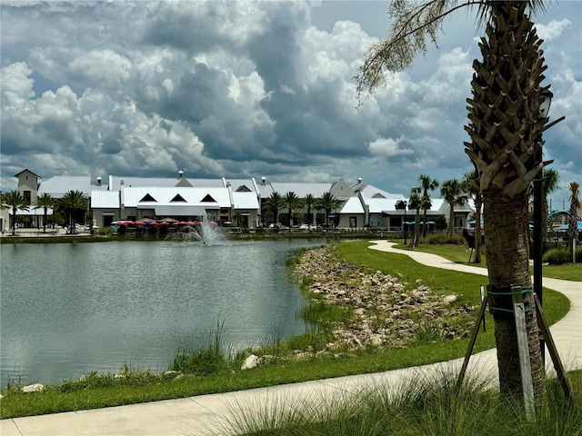 17134 Savory Mist Cir, Bradenton, FL 34211 - water view