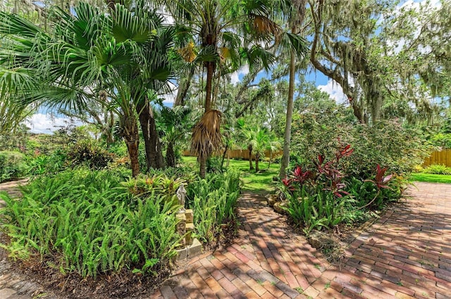 3217 Oak Grove Dr, Sarasota, FL 34243 - view of property's community