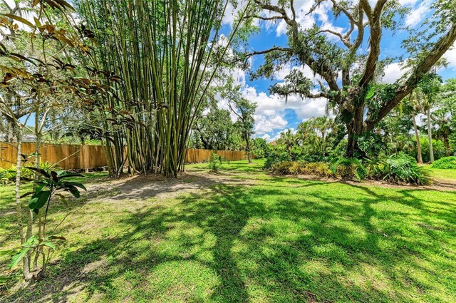 3217 Oak Grove Dr, Sarasota, FL 34243 - view of yard