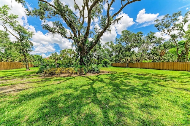 3217 Oak Grove Dr, Sarasota, FL 34243 - view of yard
