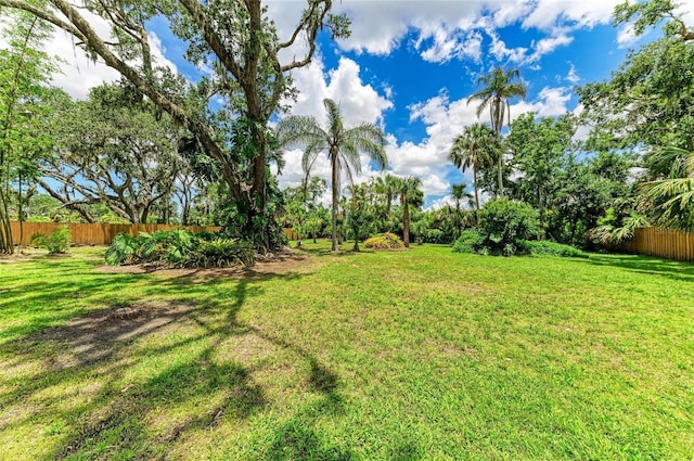 3217 Oak Grove Dr, Sarasota, FL 34243 - view of yard