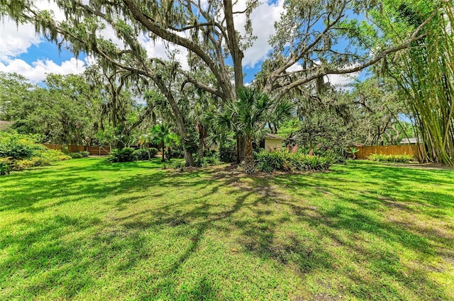 3217 Oak Grove Dr, Sarasota, FL 34243 - view of yard