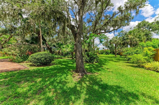 3217 Oak Grove Dr, Sarasota, FL 34243 - view of yard