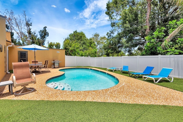 2315 Riverwood Pines Dr, Sarasota, FL 34231 - view of swimming pool featuring a fenced backyard, a patio area, and a grill