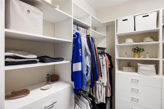 8840 Brookfield Ter, Bradenton, FL 34212 - view of spacious closet