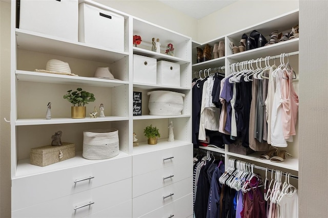 8840 Brookfield Ter, Bradenton, FL 34212 - view of walk in closet
