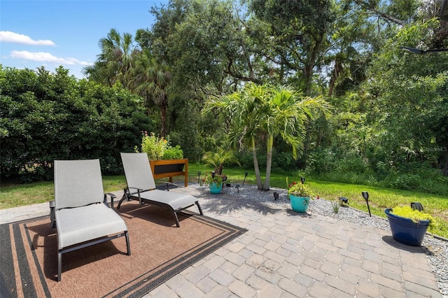 8840 Brookfield Ter, Bradenton, FL 34212 - view of patio / terrace