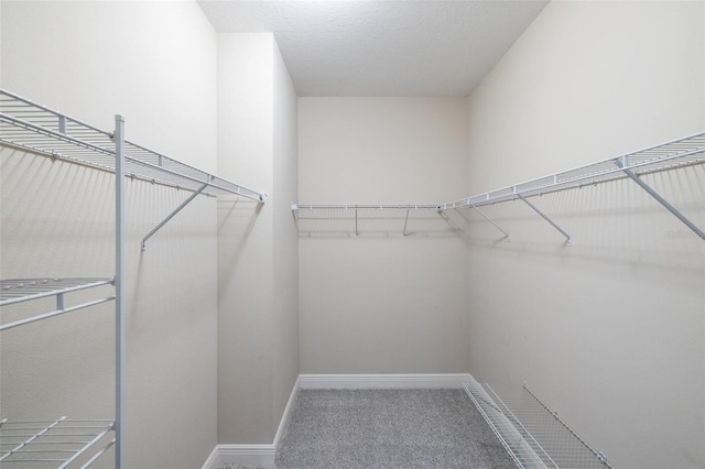 12261 Stuart Dr, Venice, FL 34293 - spacious closet featuring carpet floors