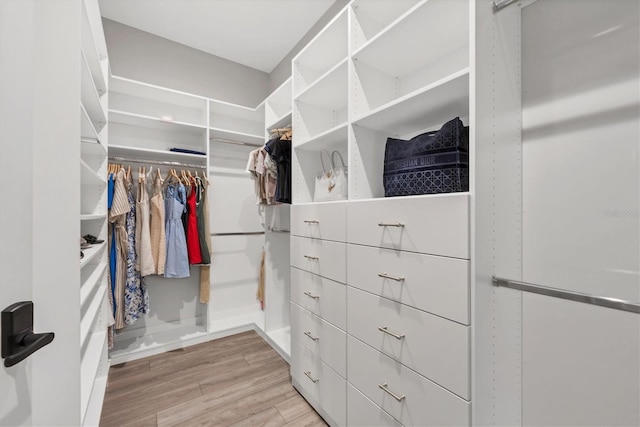 8209 Redonda Loop, Lakewood Ranch, FL 34202 - walk in closet featuring light wood-type flooring