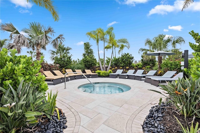 17209 Barnwood Pl, Bradenton, FL 34211 - view of pool with a community hot tub and a patio