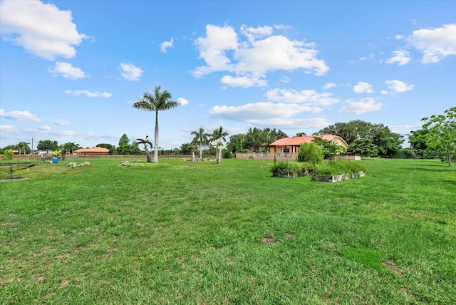 6805 225th St E, Bradenton, FL 34211 - view of grassy yard