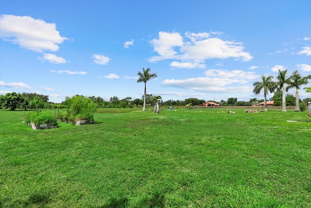 6805 225th St E, Bradenton, FL 34211 - view of green lawn featuring a garden