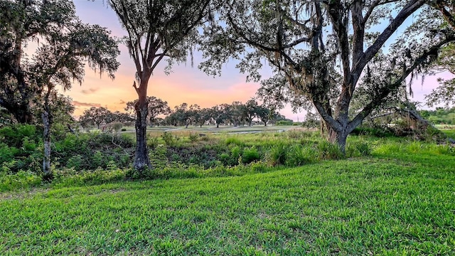 7915 Kavanagh Ct, Sarasota, FL 34240 - view of yard at dusk