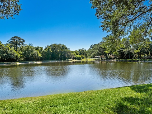 4374 Mirabella Cir, Bradenton, FL 34210 - water view featuring a heavily wooded area