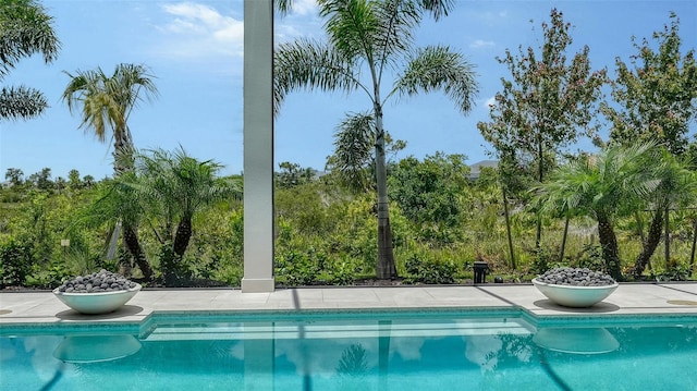 15315 Anchorage Pl, Lakewood Ranch, FL 34202 - view of swimming pool