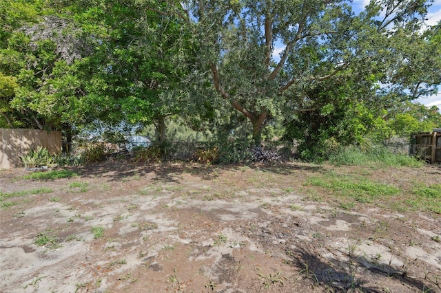 1404 Dartmouth Dr, Bradenton, FL 34207 - view of yard