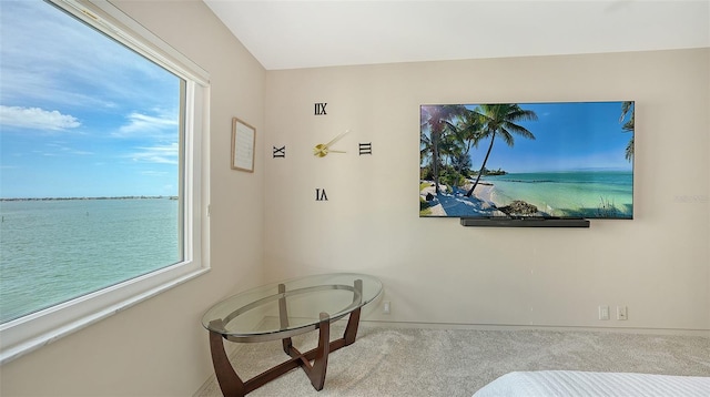 350 Golden Gate Pt Unit 61, Sarasota, FL 34236 - bedroom featuring carpet and multiple windows