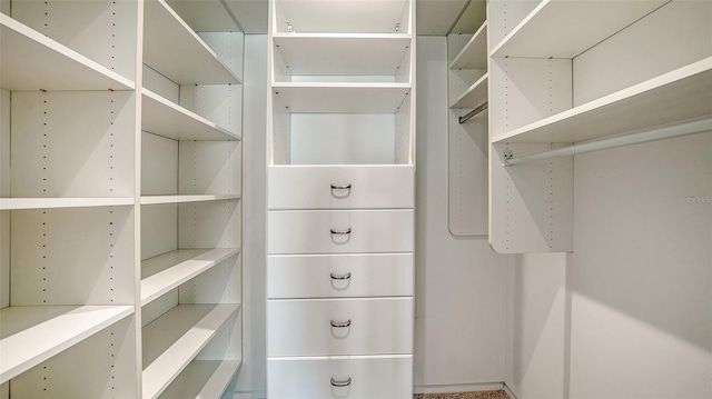 350 Golden Gate Pt Unit 61, Sarasota, FL 34236 - view of spacious closet