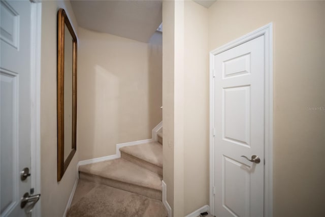4235 Overture Cir Unit 4235, Bradenton, FL 34209 - staircase featuring carpet and baseboards