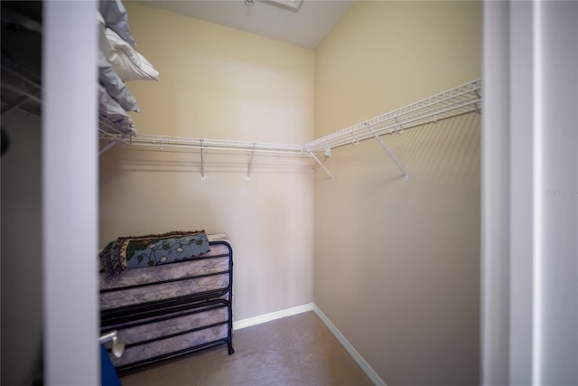 4235 Overture Cir Unit 4235, Bradenton, FL 34209 - view of walk in closet