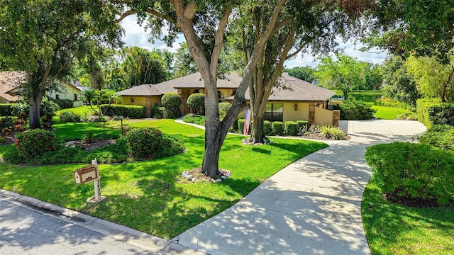 7426 Weeping Willow Blvd, Sarasota, FL 34241 - view of front of home with driveway, a front lawn, and stucco siding